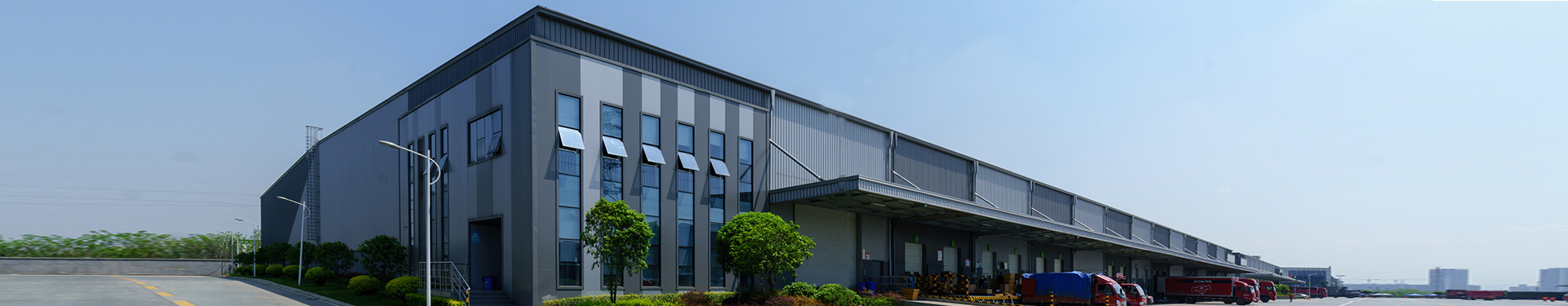 m_banner-forest-road-a