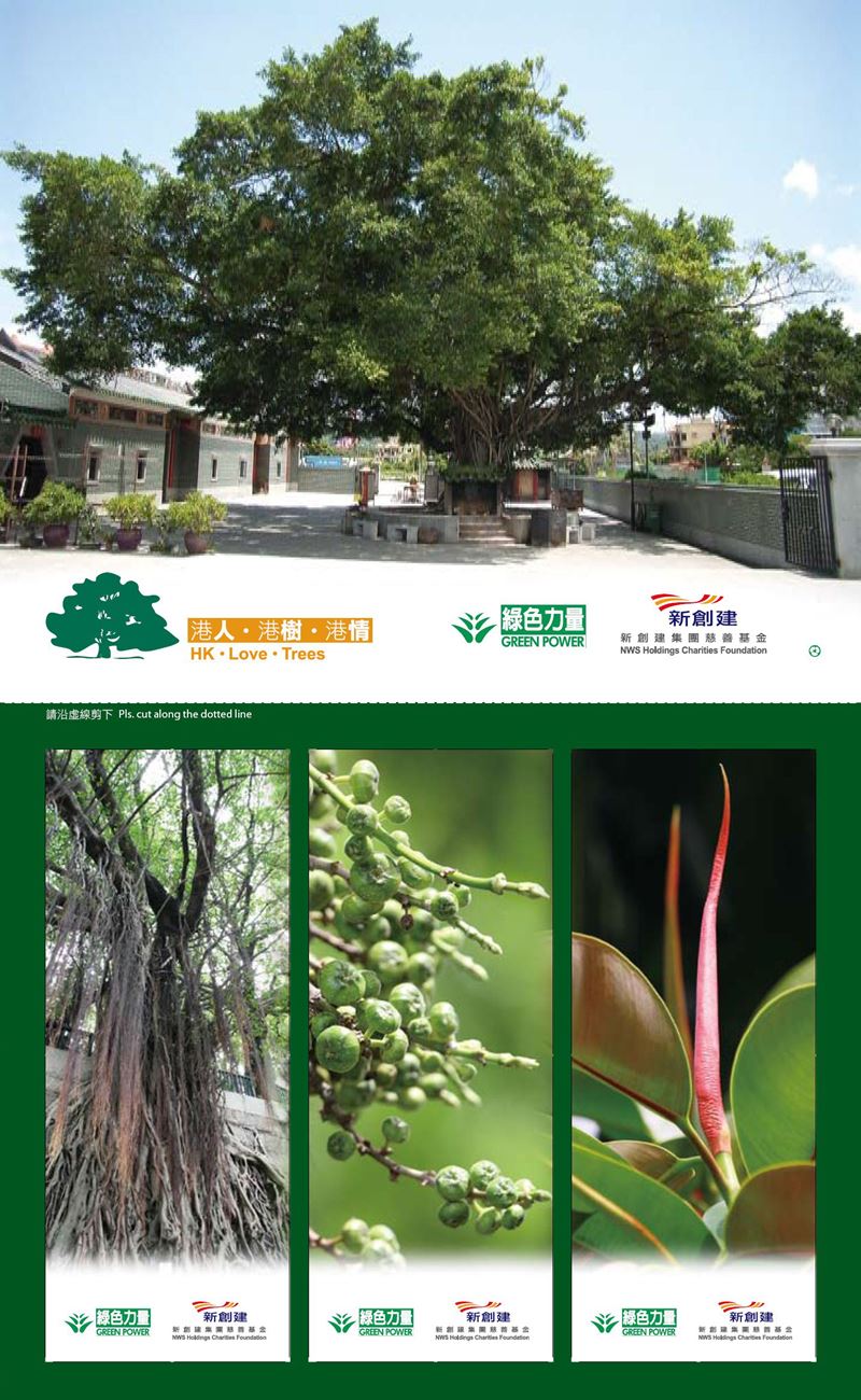 "HK．Love．Trees"- the first tree conservation programme in Hong Kong