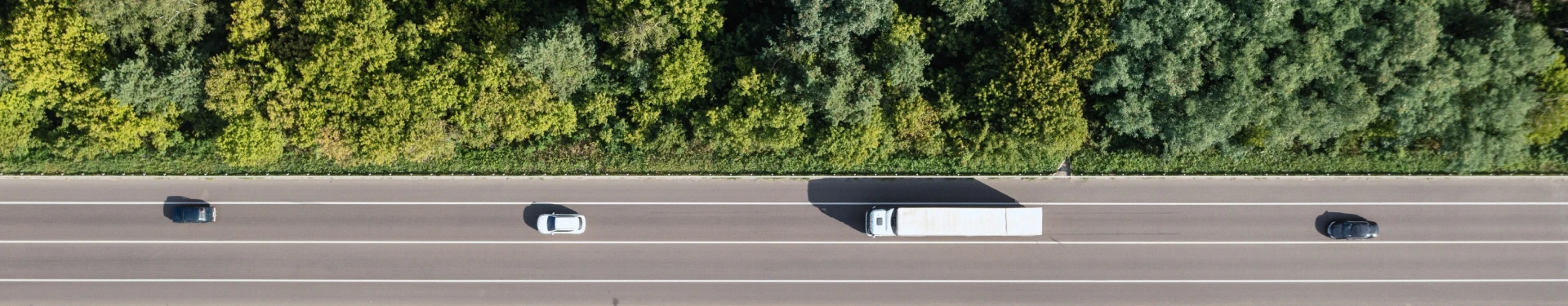 m_banner-forest-road-a